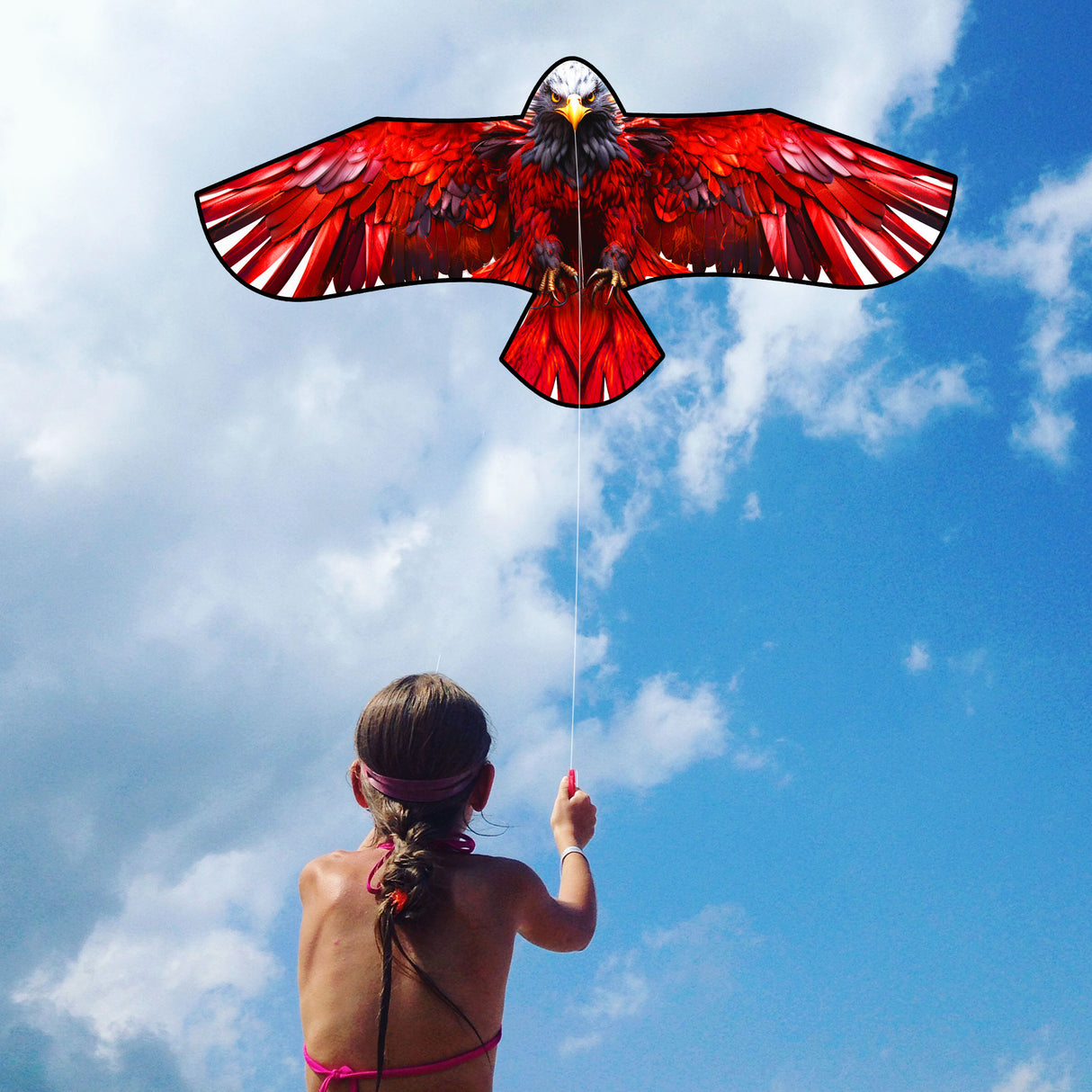 JEKOSEN Huge Eagle Kite 70"Front Pillar Suitable for Travel Beach Park Outdoor Activities