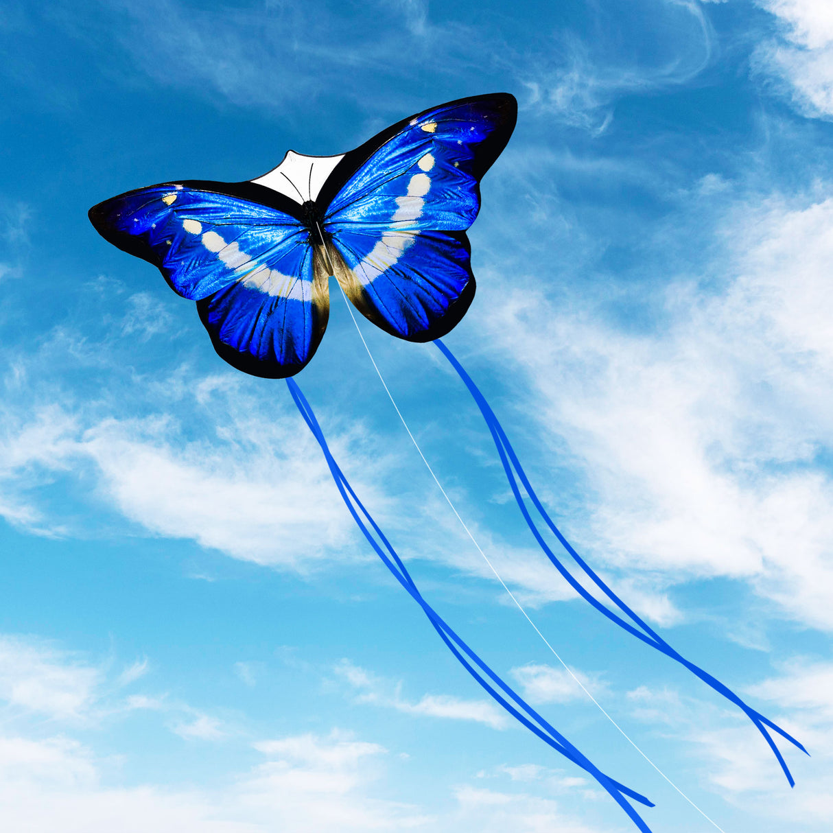 JEKOSEN Large Butterfly Kite Single Rope