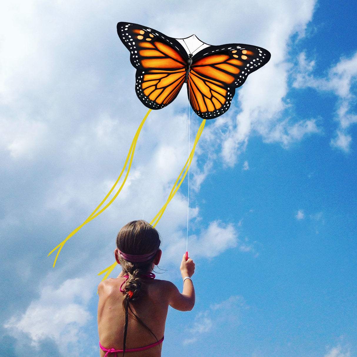 JEKOSEN Large Butterfly Kite Single Rope