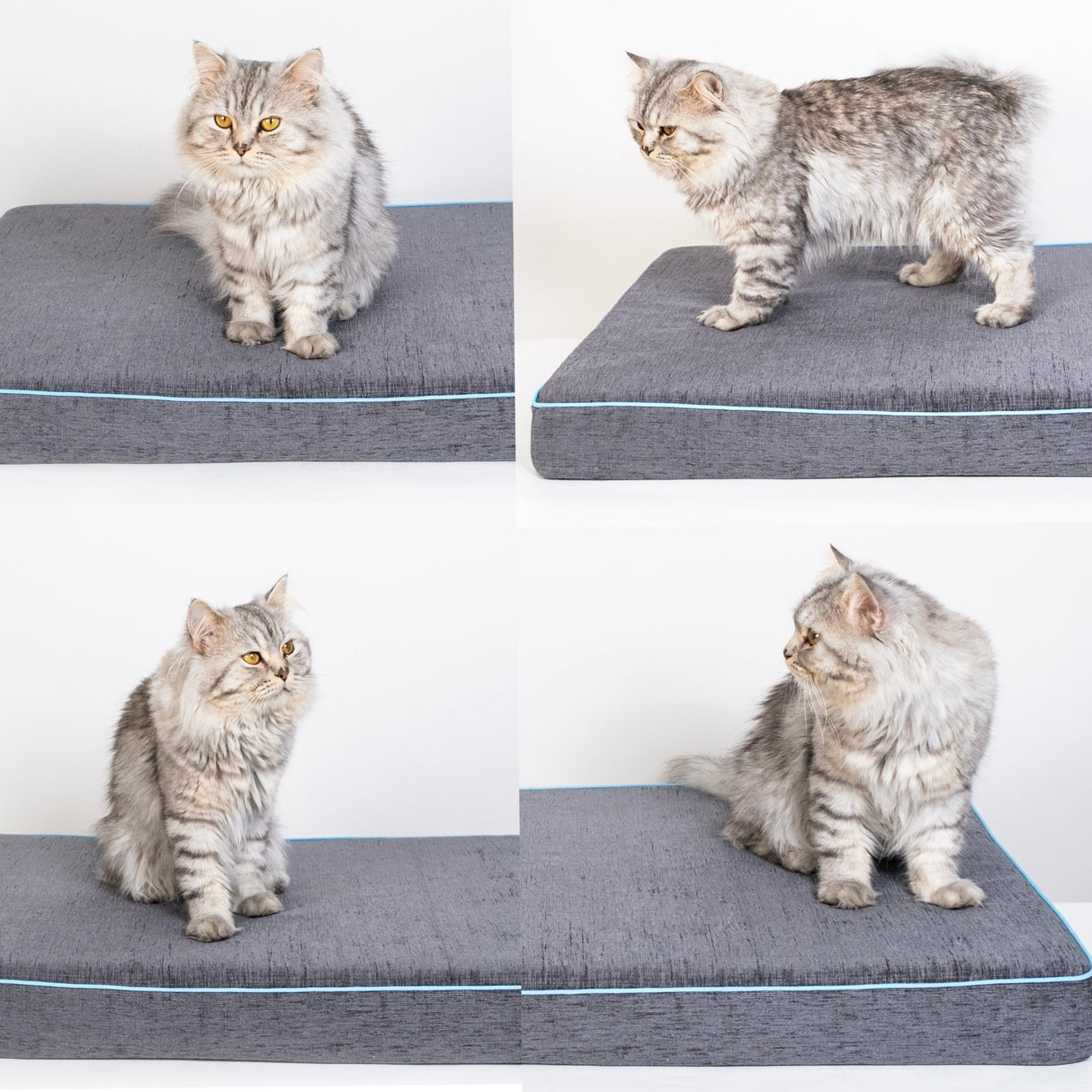 GEX Dog Bed Cushion Custom Bench Cushion Chenille Cushion 3'' Thick Pet Bed - GexWorldwide