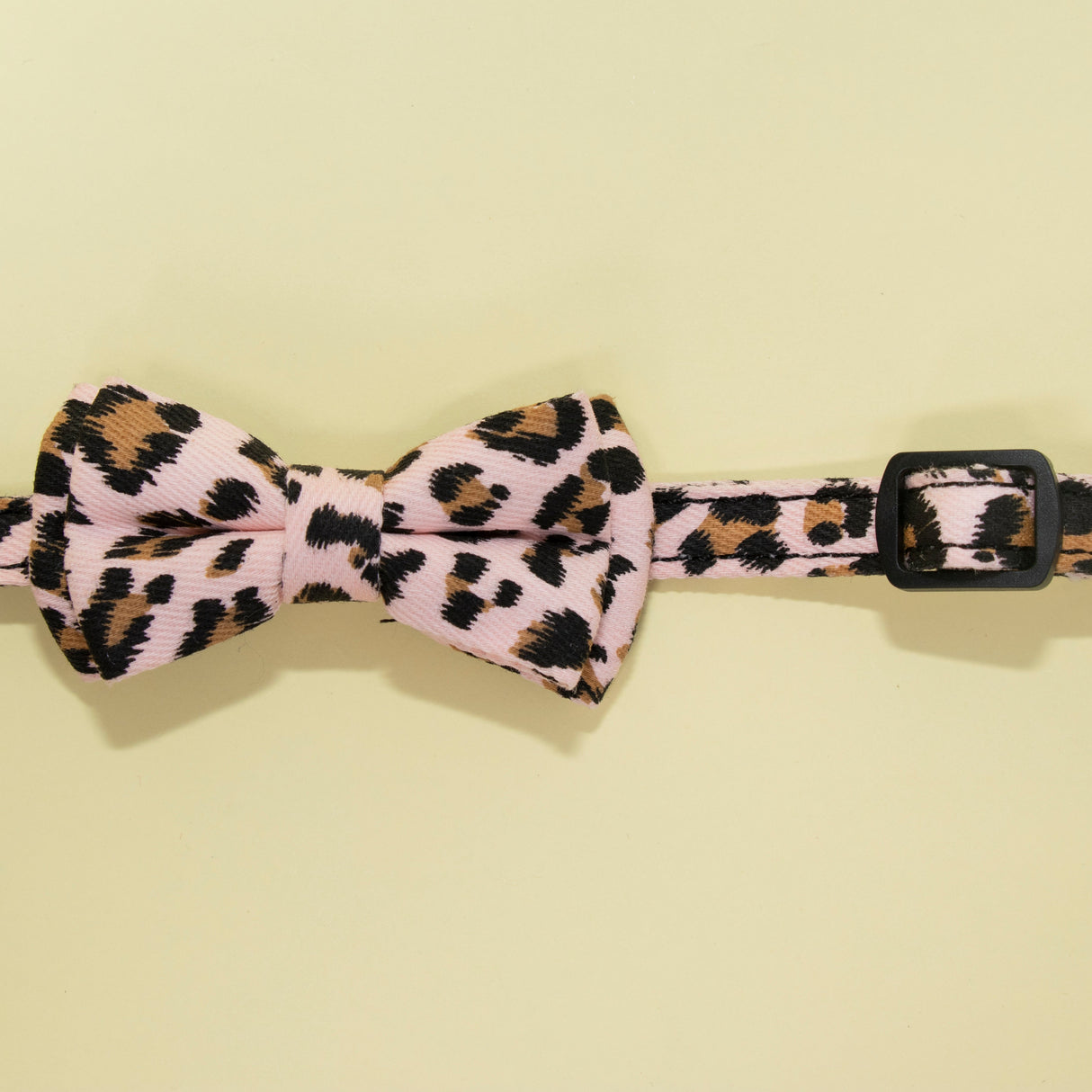 GEX Personalized Cat Collar with Engraved Cat Name Tag - GexWorldwide