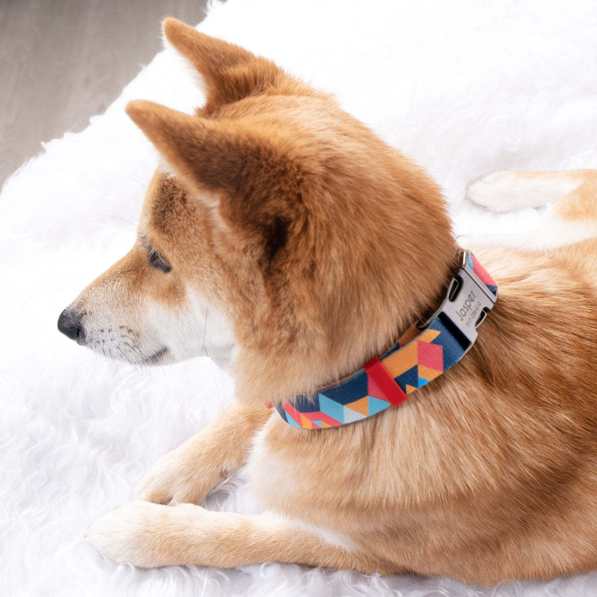 GEX Personalized Dog Collar Bow Tie Leash Set - GexWorldwide