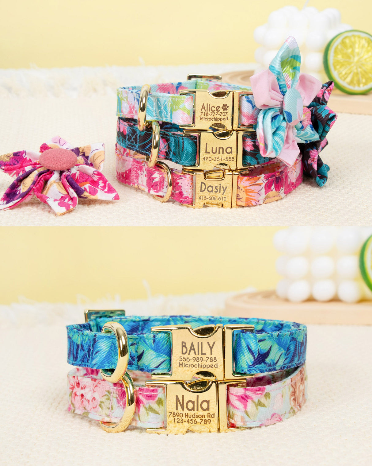 GEX Personalized Dog Collar Bow Tie Leash Set - GexWorldwide