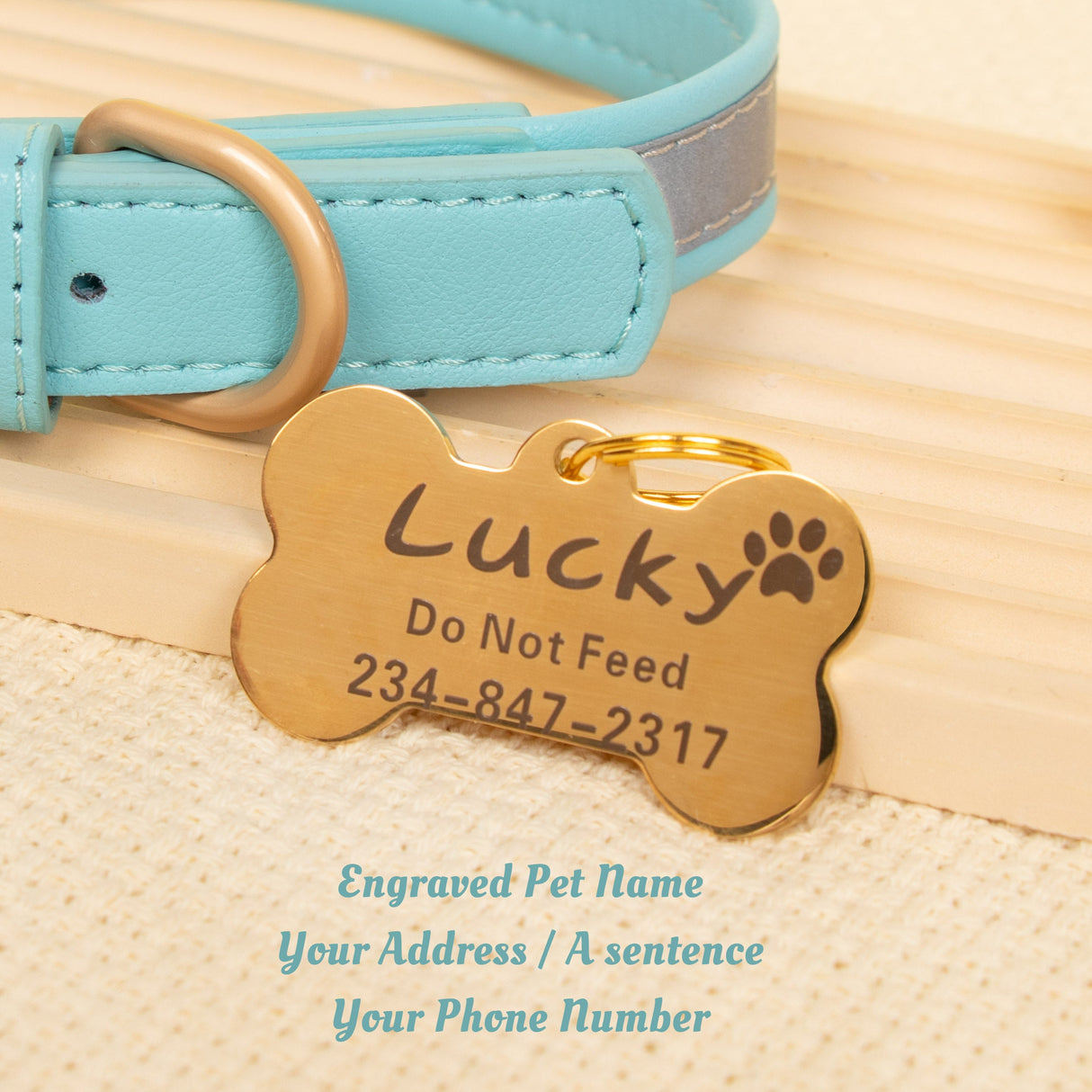 GEX Personalized Dog Collar Leather Dog ID Collar for Pet - GexWorldwide