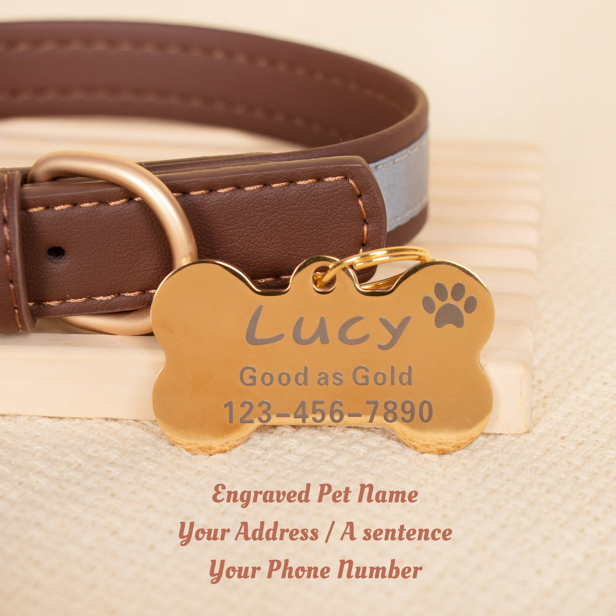GEX Personalized Dog Collar Leather Dog ID Collar for Pet - GexWorldwide