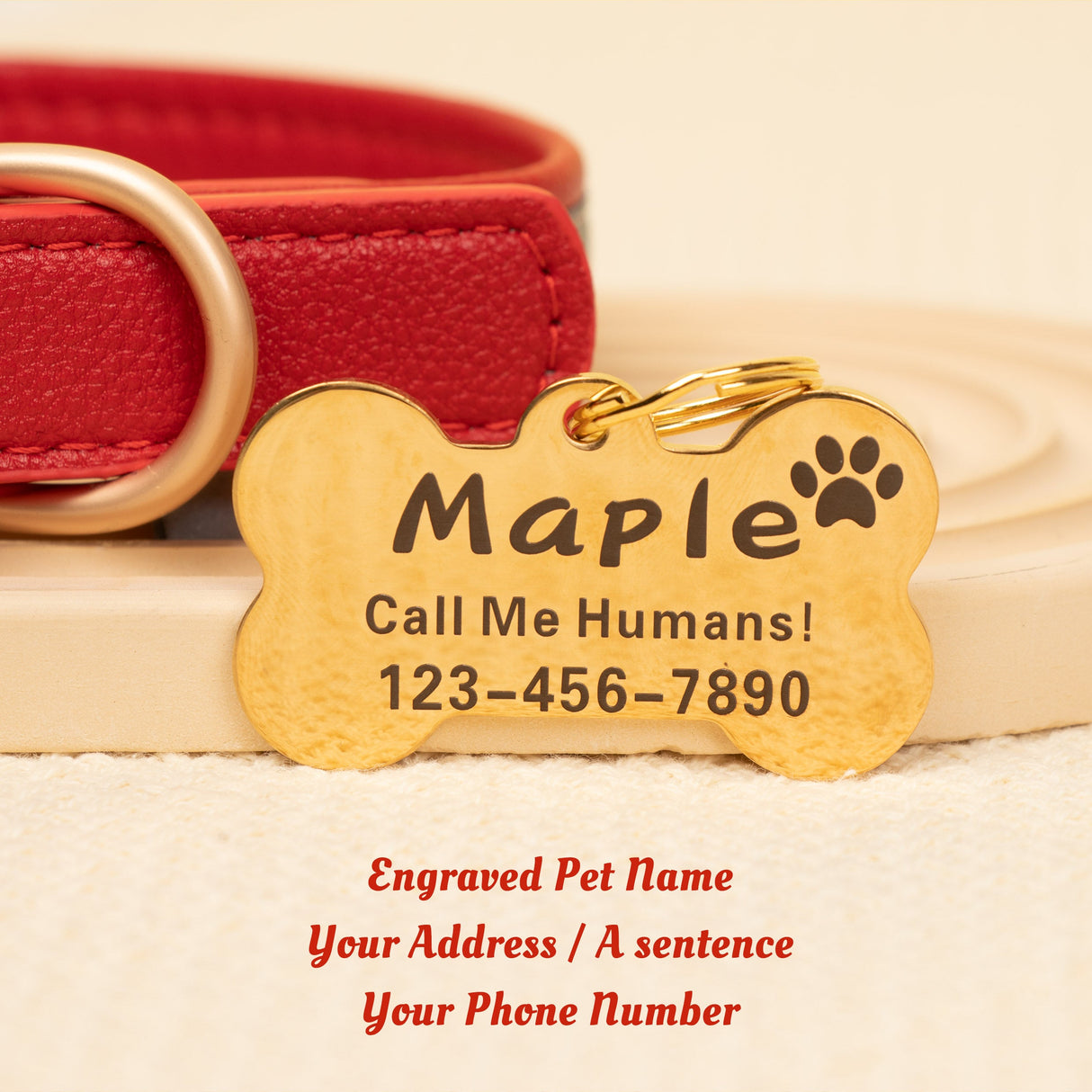 GEX Personalized Dog Collar Leather Dog ID Collar for Pet - GexWorldwide