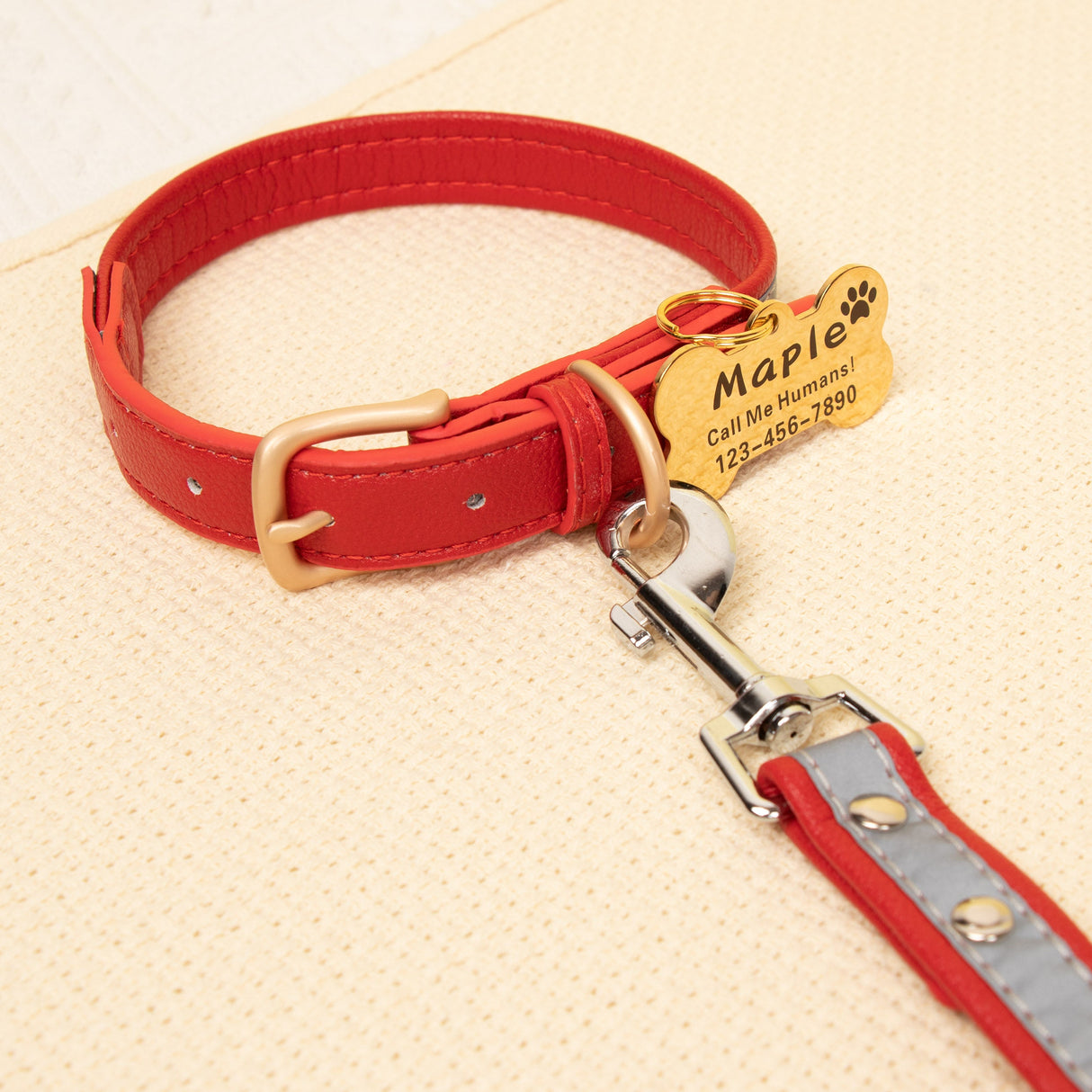 GEX Personalized Dog Collar Leather Dog ID Collar for Pet - GexWorldwide