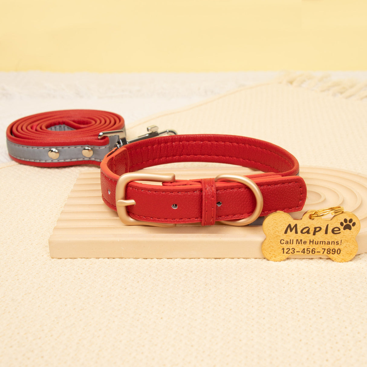 GEX Personalized Dog Collar Leather Dog ID Collar for Pet - GexWorldwide