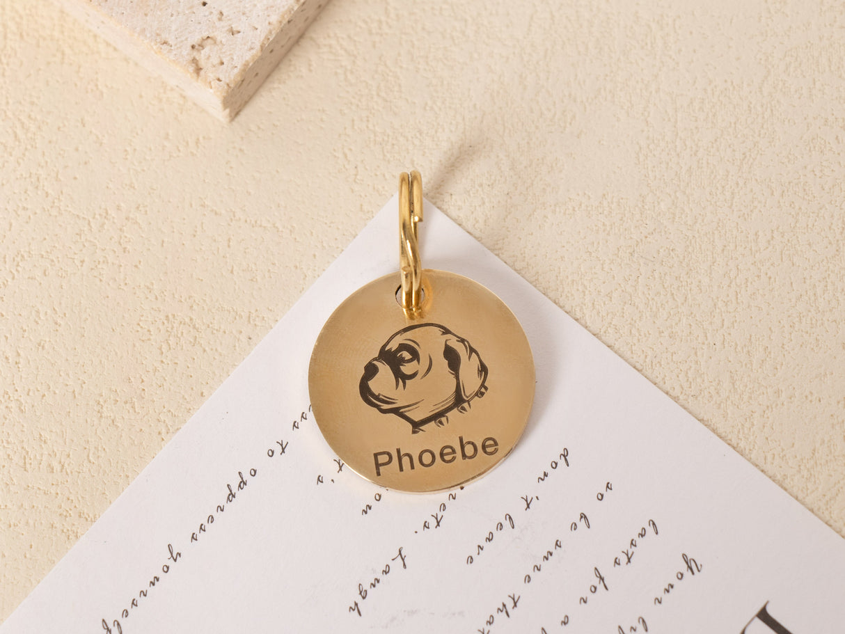 GEX Personalized Dog Tags Engraved Dog Tag With Dog ID - GexWorldwide