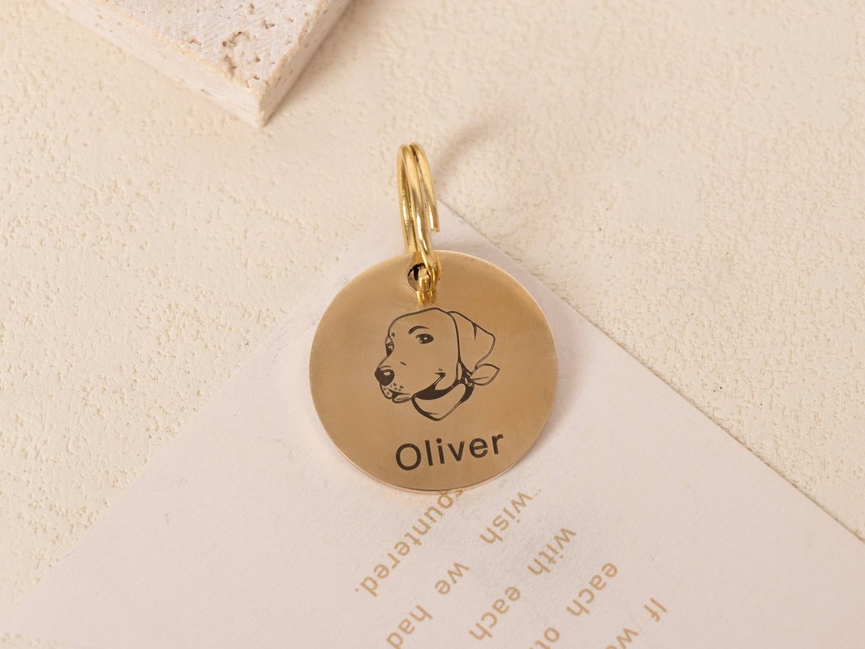 GEX Personalized Dog Tags Engraved Dog Tag With Dog ID - GexWorldwide