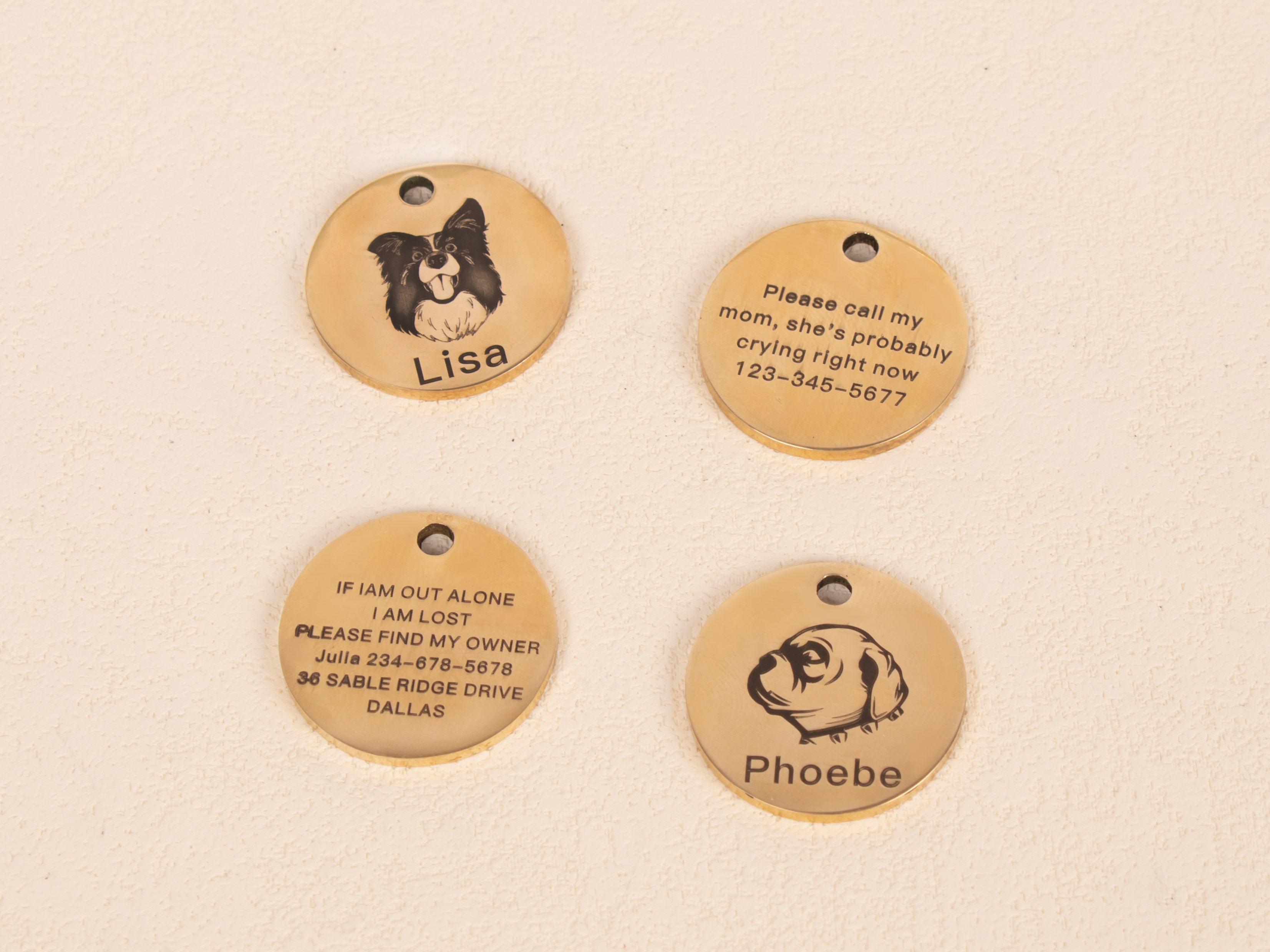 Personalised pet id tags top