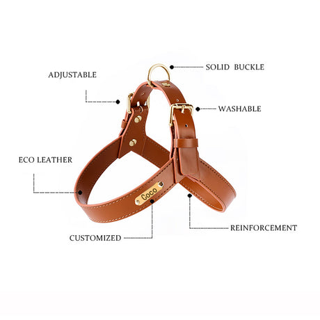 GEX Personalized Large Dog Leather Harness and Leash Set - GexWorldwide