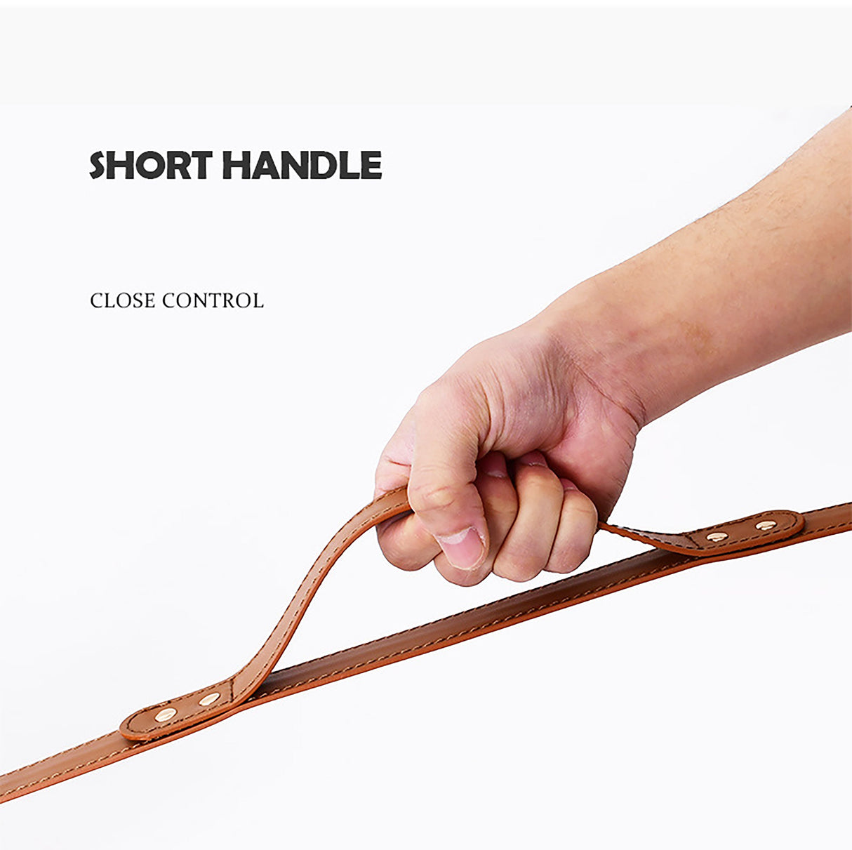 GEX Personalized Large Dog Leather Harness and Leash Set - GexWorldwide