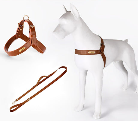 GEX Personalized Large Dog Leather Harness and Leash Set - GexWorldwide