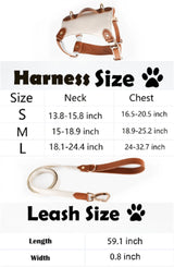 GEX Personalized Pet Harness Set Leather Dog Collar with Engrave Pet Name - GexWorldwide