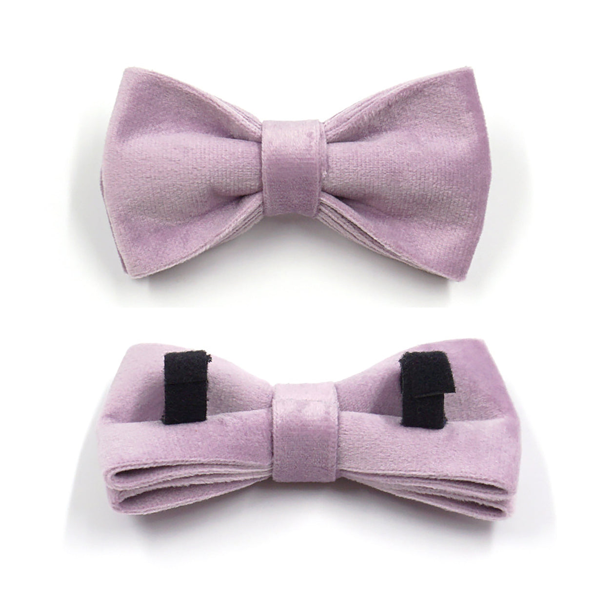 GEX Personalized Velvet Dog Collar and Harness Set with Engraved Dog Name - GexWorldwide