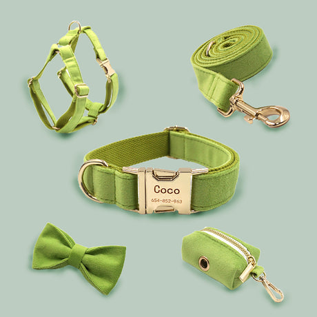 GEX Personalized Velvet Dog Collar and Harness Set with Engraved Dog Name - GexWorldwide