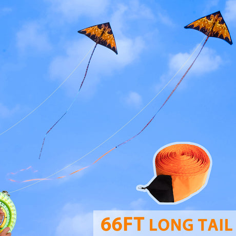 JEKOSEN Giant Delta Dragon Kites with 787" Extended Tail Easy to Fly Suitable for Children and Adults Beach Park Activities - GexWorldwide