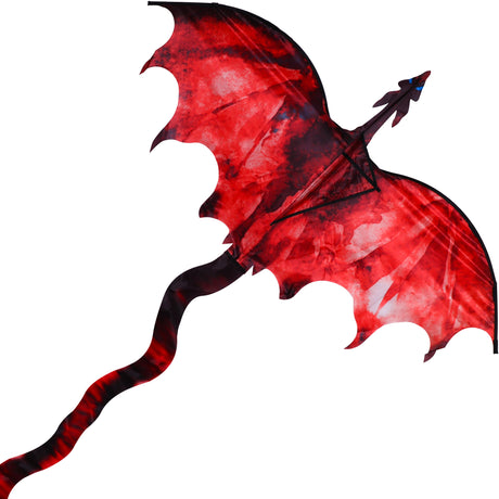 JEKOSEN Ice/Fiery Dragon 54" Huge Kite Easy to Fly Suitable for Children and Adults Beach Park Outdoor Activities - GexWorldwide