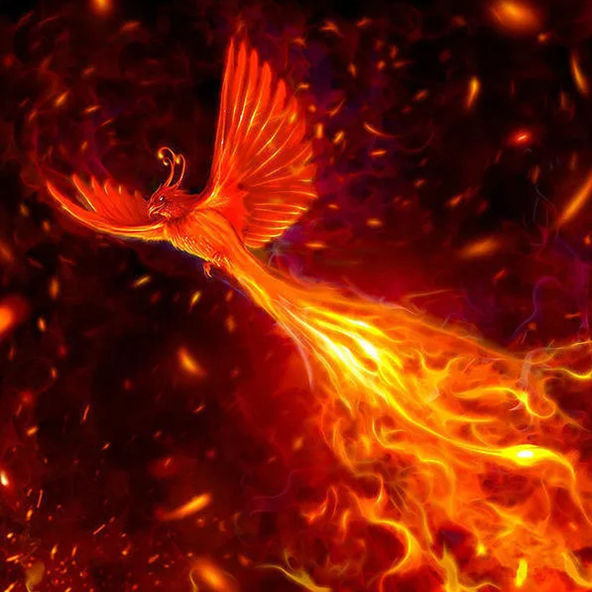 JEKOSEN Phoenix Huge Kite 6 tails Easy to Fly Suitable for Children and Adults Travel Beach Park Outdoor Activities - GexWorldwide