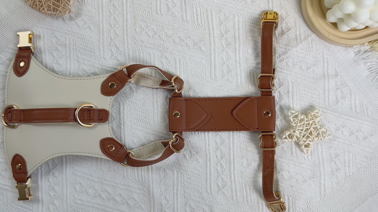 GEX Personalized Pet Harness Set Leather Dog Collar with Engrave Pet Name