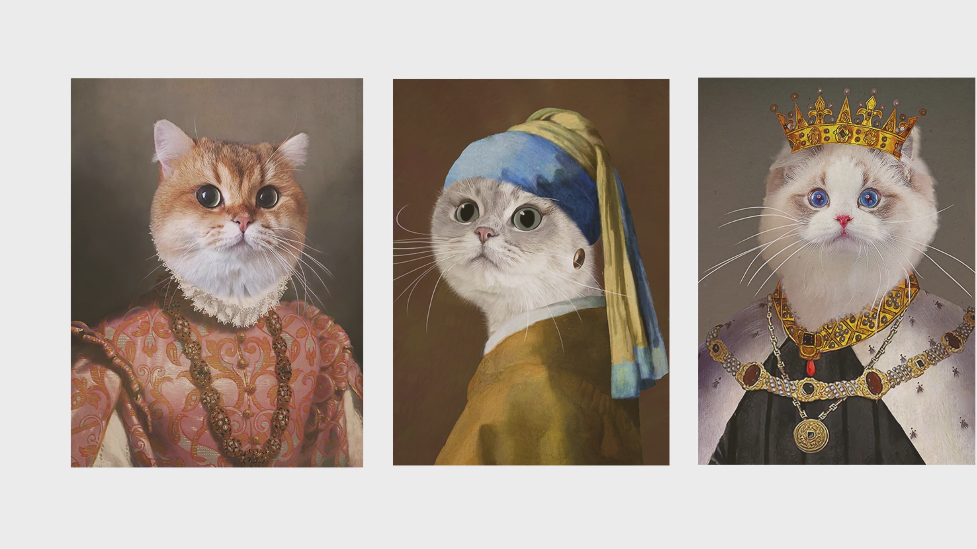 e844f93082b14114b7fcfe11fbbfd0