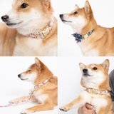 GEX Personalized Dog Collar Bow Tie Leash Set - GexWorldwide