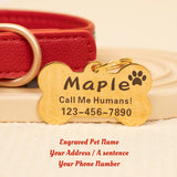 GEX Personalized Dog Collar Leather Dog ID Collar for Pet - GexWorldwide
