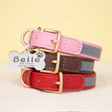 GEX Personalized Dog Collar Leather Dog ID Collar for Pet - GexWorldwide