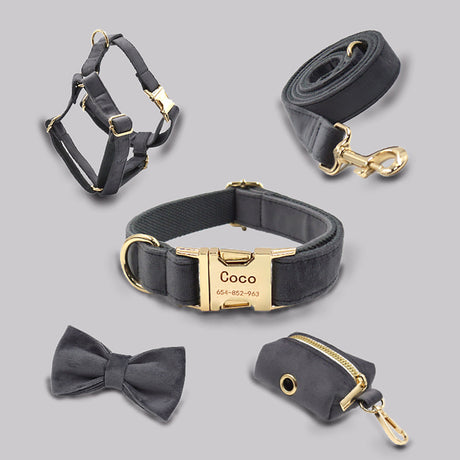 GEX Personalized Dog Harness Set Engraved Dog Collar with Name - GexWorldwide