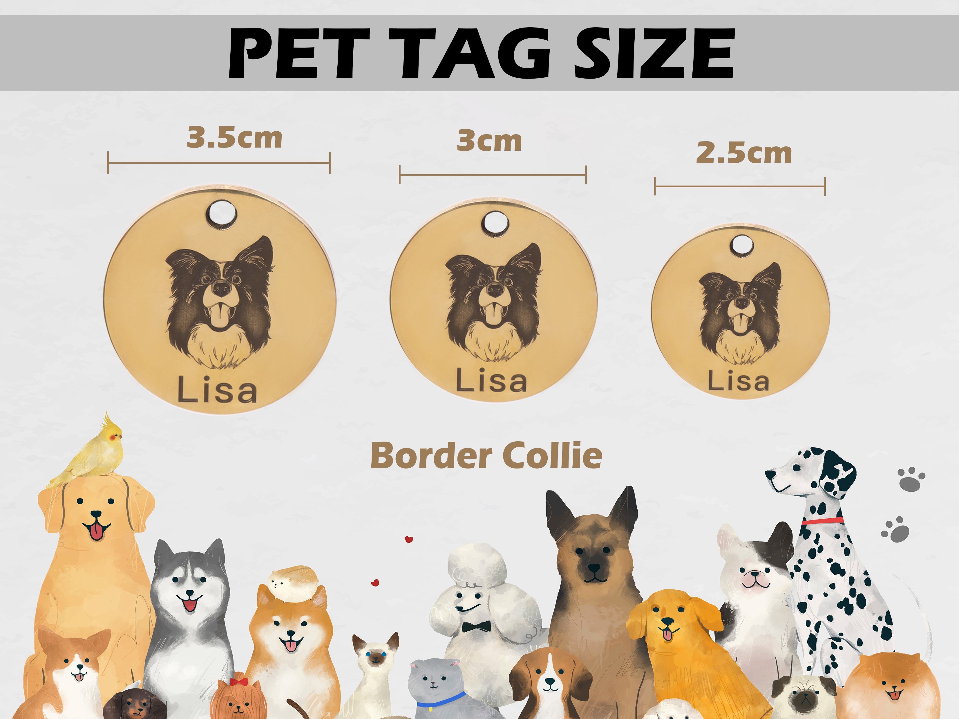 GEX Personalized Dog Tags Engraved Dog Tag with Dog ID M 3cm Font 5