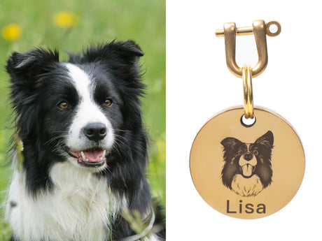 GEX Personalized Dog Tags Engraved Dog Tag With Dog ID - GexWorldwide