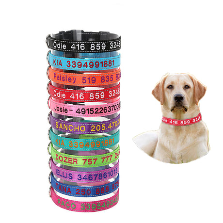 GEX Personalized Embroidered Pet Collar for Large Boy Dog with Reflective Nylon - GexWorldwide