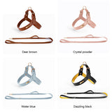 GEX Personalized Large Dog Leather Harness and Leash Set - GexWorldwide