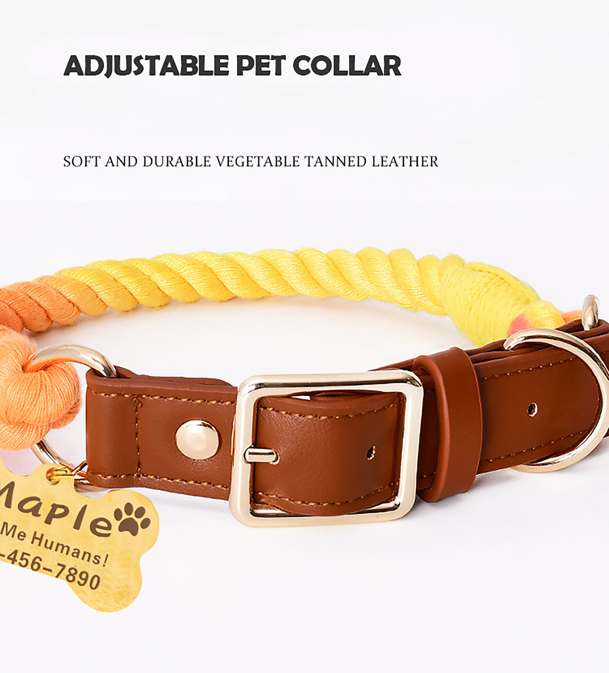 GEX Personalized Pet Collar and Leash Set for Dog with Name - GexWorldwide