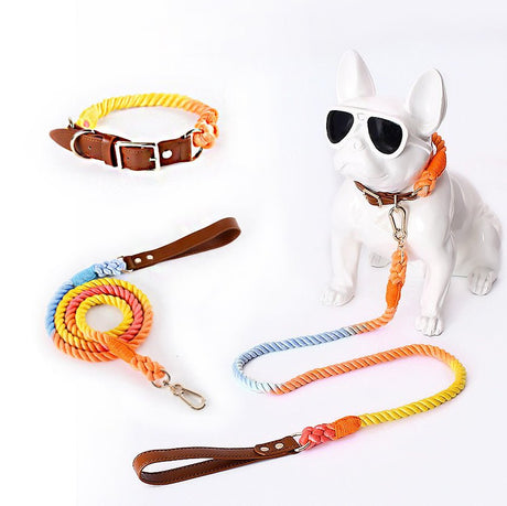 GEX Personalized Pet Collar and Leash Set for Dog with Name - GexWorldwide