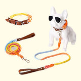 GEX Personalized Pet Collar and Leash Set for Dog with Name - GexWorldwide