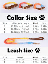 GEX Personalized Pet Collar and Leash Set for Dog with Name - GexWorldwide