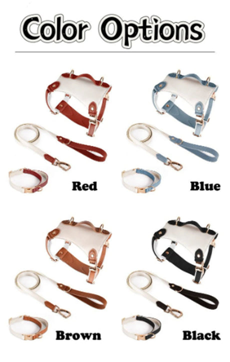 GEX Personalized Pet Harness Set Leather Dog Collar with Engrave Pet Name - GexWorldwide