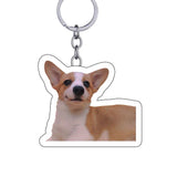 GEX Personalized Pet Photo Key Chain Pet Portrait Shaped Memorial Gift - GexWorldwide