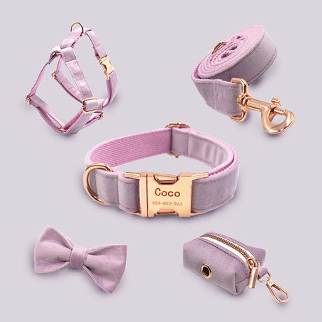 GEX Personalized Velvet Dog Collar and Harness Set with Engraved Dog Name - GexWorldwide