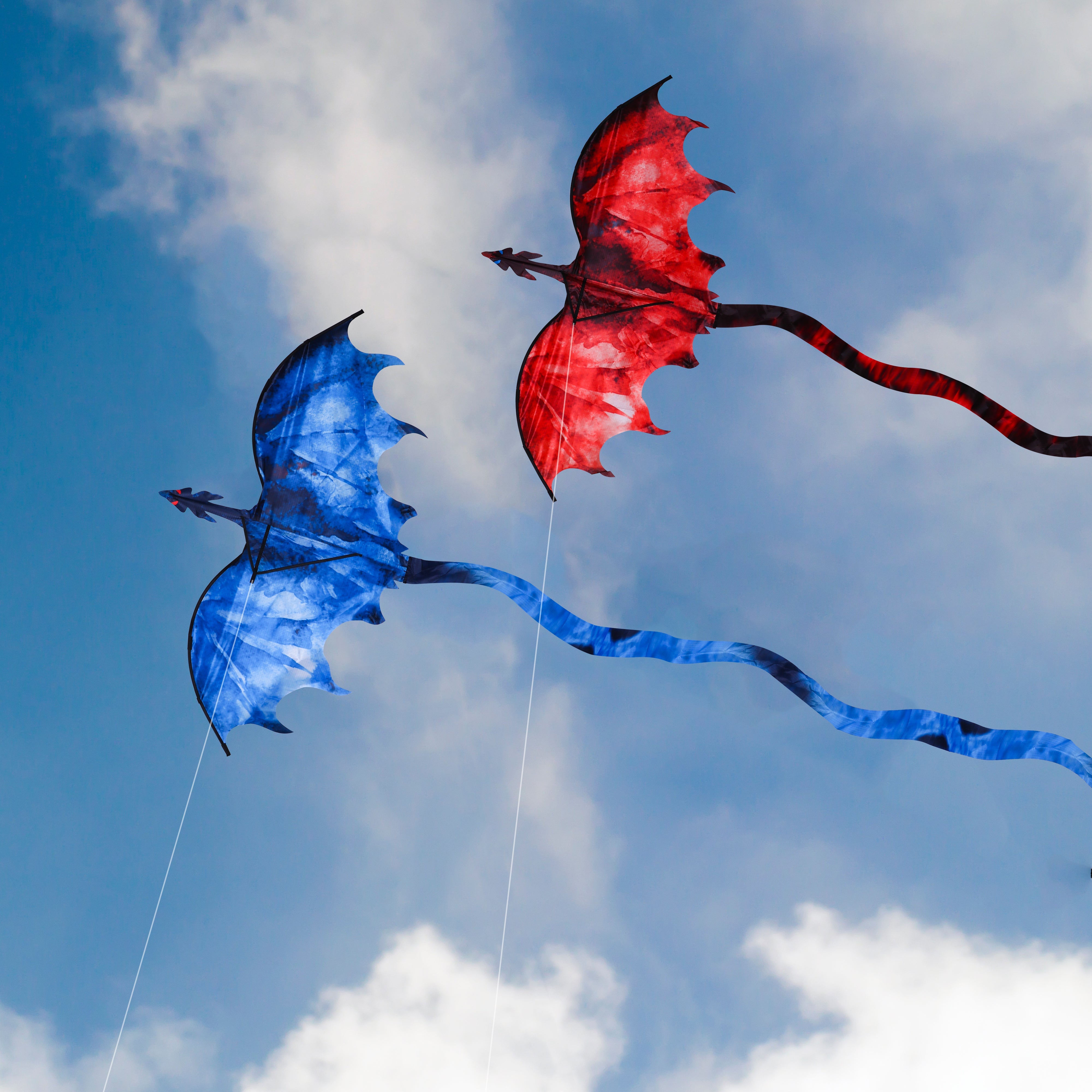 JEKOSEN Dragon Huge Kite - Gexworldwide.com – GexWorldwide