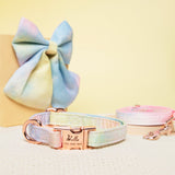 Personalized Dog Collar Girl Dog Bow Collar - GexWorldwide